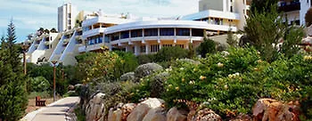Magnolia Mar 3*